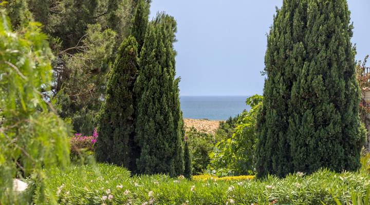 Villa Bliss Thumbnail