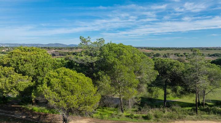 Peak of Excellence Thumbnail