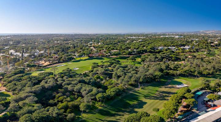 North Grove Thumbnail