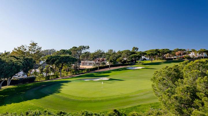 North Grove Thumbnail