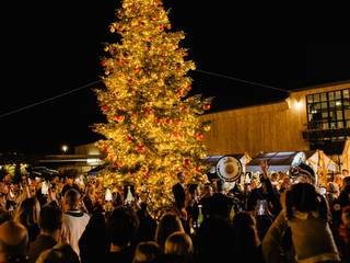 Celebre a Época Festiva na Quinta do Lago: Programa Completo de Natal e Ano Novo