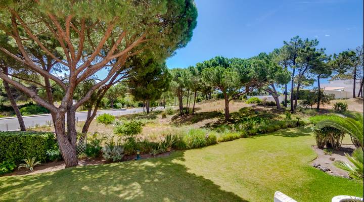 Fantástico Apartamento a Poucos Passos Da Praia Thumbnail