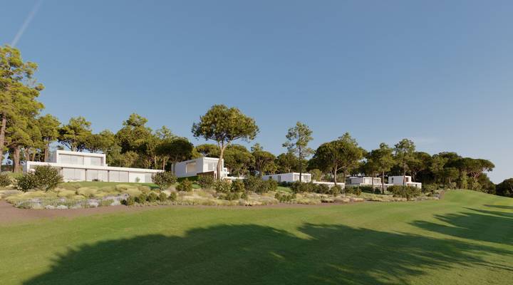 North Grove Thumbnail