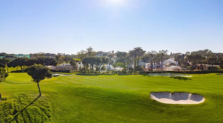 North Grove Thumbnail