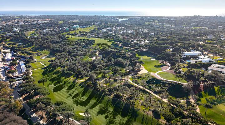 North Grove Thumbnail