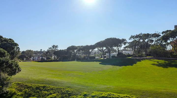 North Grove Thumbnail