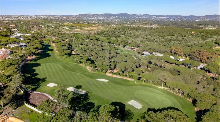 North Grove Thumbnail