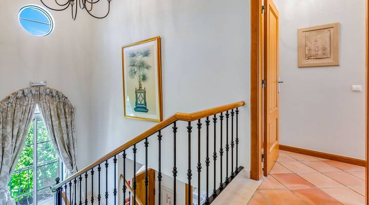 Vale dos Pinheiros IV Thumbnail