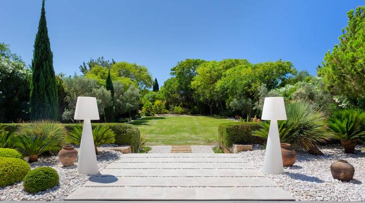 Step Into Paradise Thumbnail