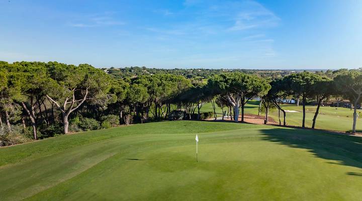 North Grove Thumbnail