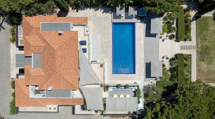 Step Into Paradise Thumbnail