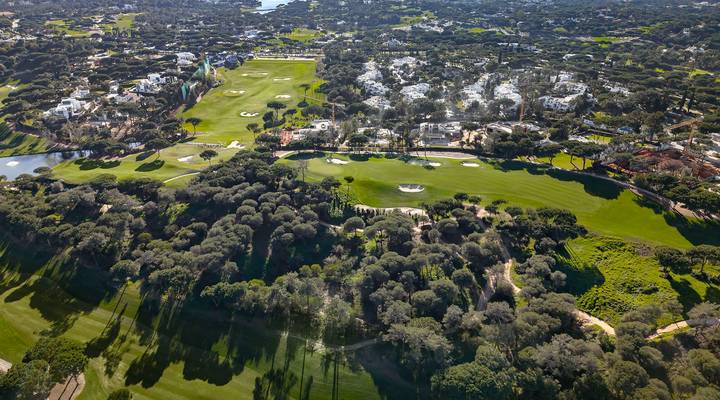 North Grove Thumbnail